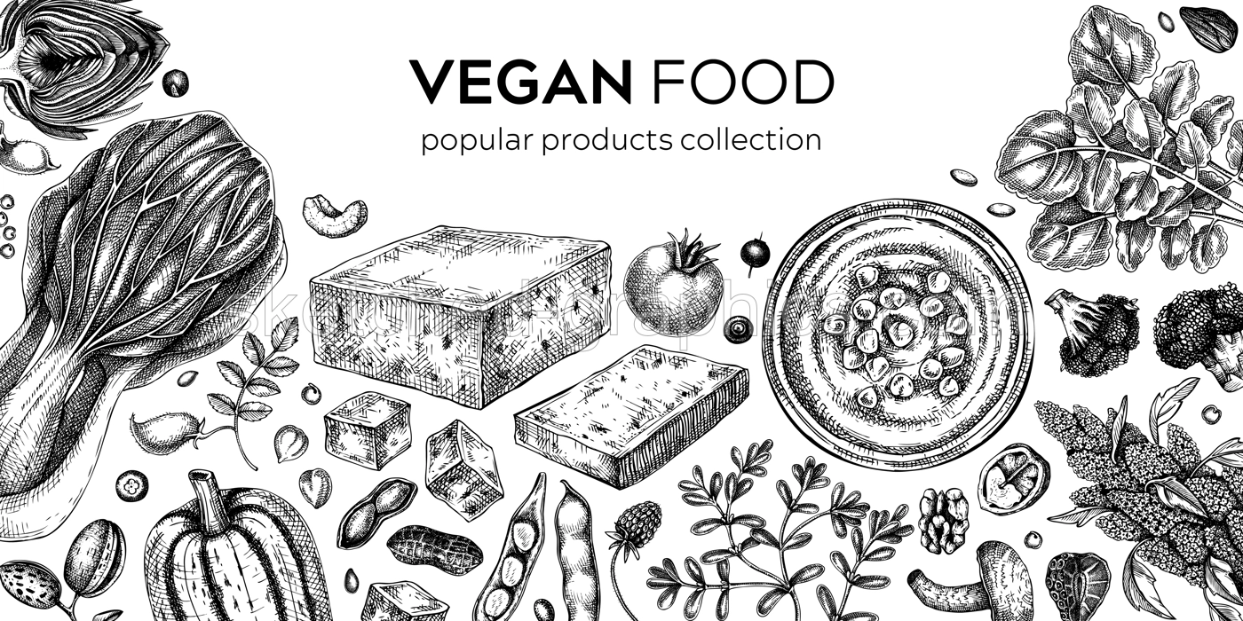 Vegan food sketched background. Healthy food banner template. Middle eastern cuisine frame. Hand drawn vegan meals and ingredients for menu, recipe, packaging design. Vegan food illustration Illustration